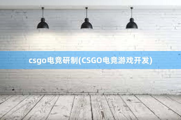 csgo电竞研制(CSGO电竞游戏开发)