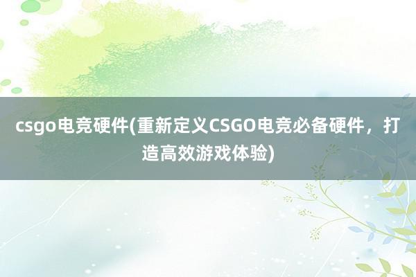 csgo电竞硬件(重新定义CSGO电竞必备硬件，打造高效游戏体验)