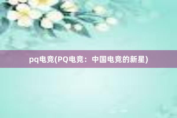 pq电竞(PQ电竞：中国电竞的新星)