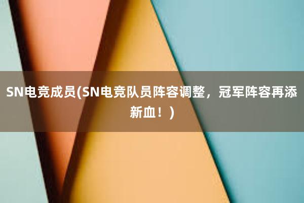 SN电竞成员(SN电竞队员阵容调整，冠军阵容再添新血！)