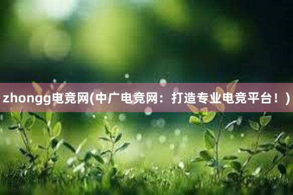 zhongg电竞网(中广电竞网：打造专业电竞平台！)