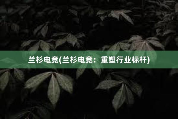 兰杉电竞(兰杉电竞：重塑行业标杆)