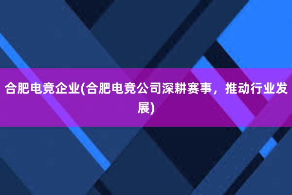 合肥电竞企业(合肥电竞公司深耕赛事，推动行业发展)