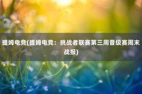 提姆电竞(提姆电竞：挑战者联赛第三周晋级赛周末战报)