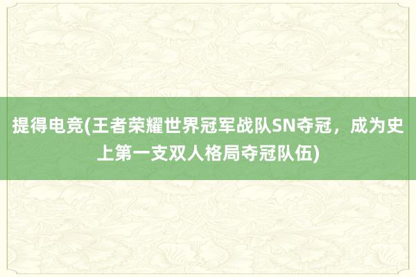 提得电竞(王者荣耀世界冠军战队SN夺冠，成为史上第一支双人格局夺冠队伍)