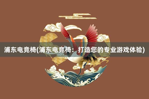 浦东电竞椅(浦东电竞椅：打造您的专业游戏体验)