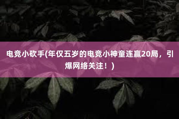 电竞小砍手(年仅五岁的电竞小神童连赢20局，引爆网络关注！)