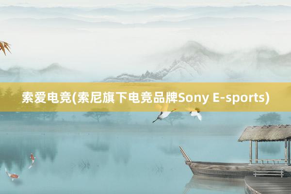 索爱电竞(索尼旗下电竞品牌Sony E-sports)