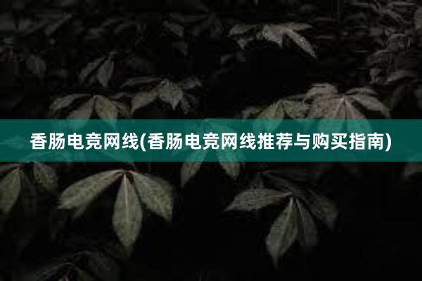 香肠电竞网线(香肠电竞网线推荐与购买指南)