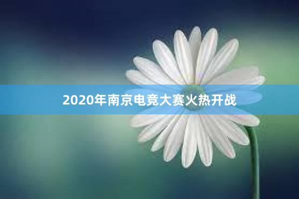 2020年南京电竞大赛火热开战