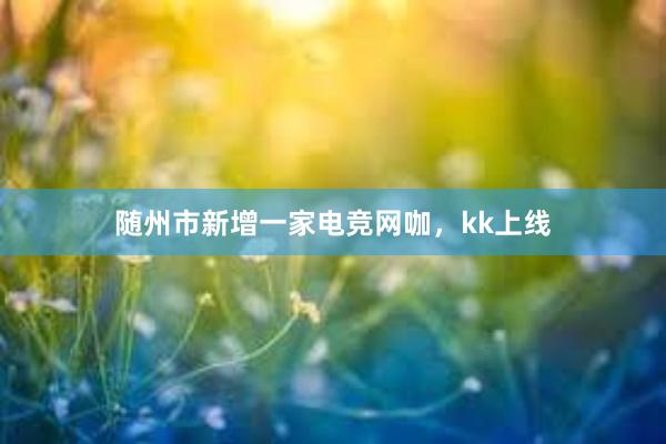 随州市新增一家电竞网咖，kk上线