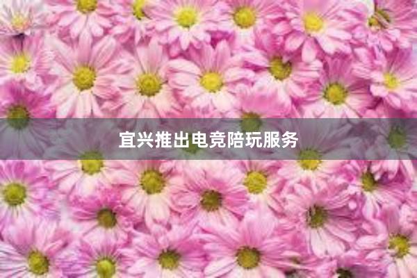 宜兴推出电竞陪玩服务