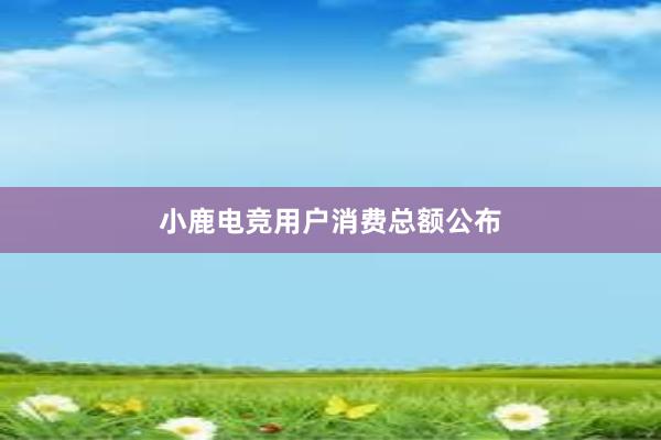 小鹿电竞用户消费总额公布