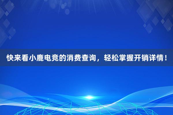 快来看小鹿电竞的消费查询，轻松掌握开销详情！