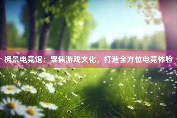 枫景电竞馆：聚焦游戏文化，打造全方位电竞体验