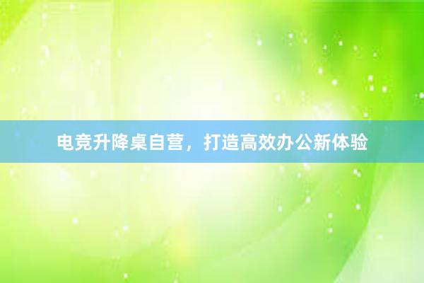 电竞升降桌自营，打造高效办公新体验