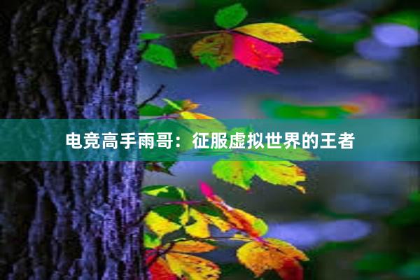 电竞高手雨哥：征服虚拟世界的王者