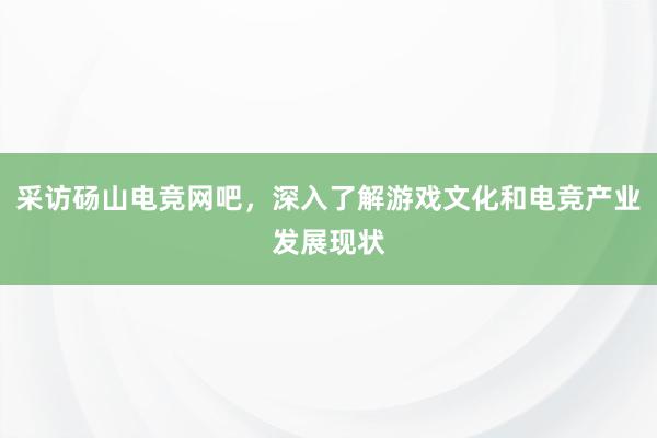 采访砀山电竞网吧，深入了解游戏文化和电竞产业发展现状