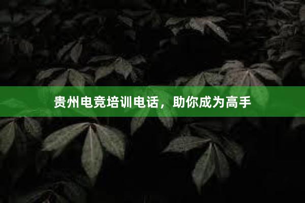 贵州电竞培训电话，助你成为高手